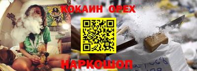 прущие грибы Бийск