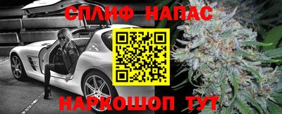прущие грибы Бийск